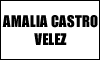 AMALIA CASTRO VELEZ