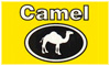 AUTOINDUSTRIAL CAMEL S.A.