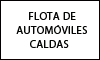 FLOTA DE AUTOMÓVILES CALDAS