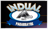 INDUAL LTDA. logo