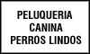 PELUQUERIA CANINA PERROS LINDOS