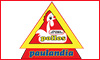 POLLOS PAULANDIA logo