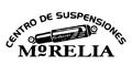 CENTRO DE SUSPENSIONES DE MORELIA logo